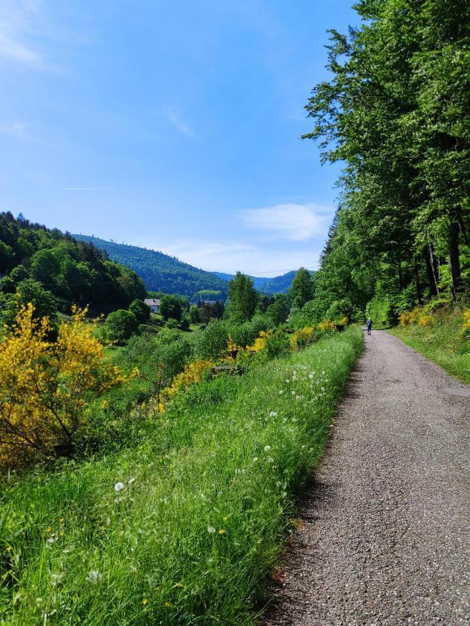 Fewo Albtaleck - Wohnen Im Kurort Waldbronn Esterno foto
