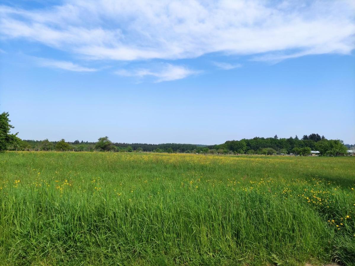 Fewo Albtaleck - Wohnen Im Kurort Waldbronn Esterno foto